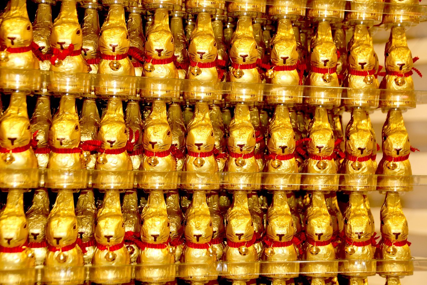 Påskharen som chokladfigur - här i en version av Lindt.